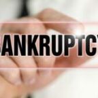 Bankruptcy 167 (Demo)